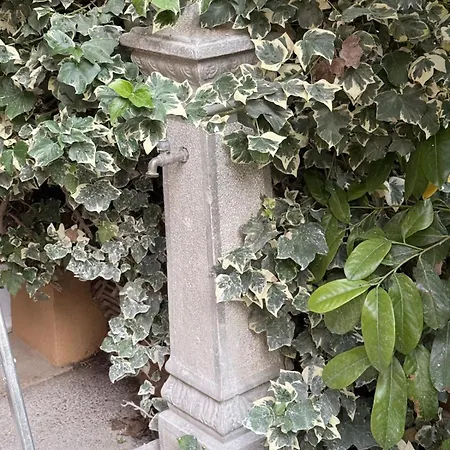 Appartamento Casa Levante